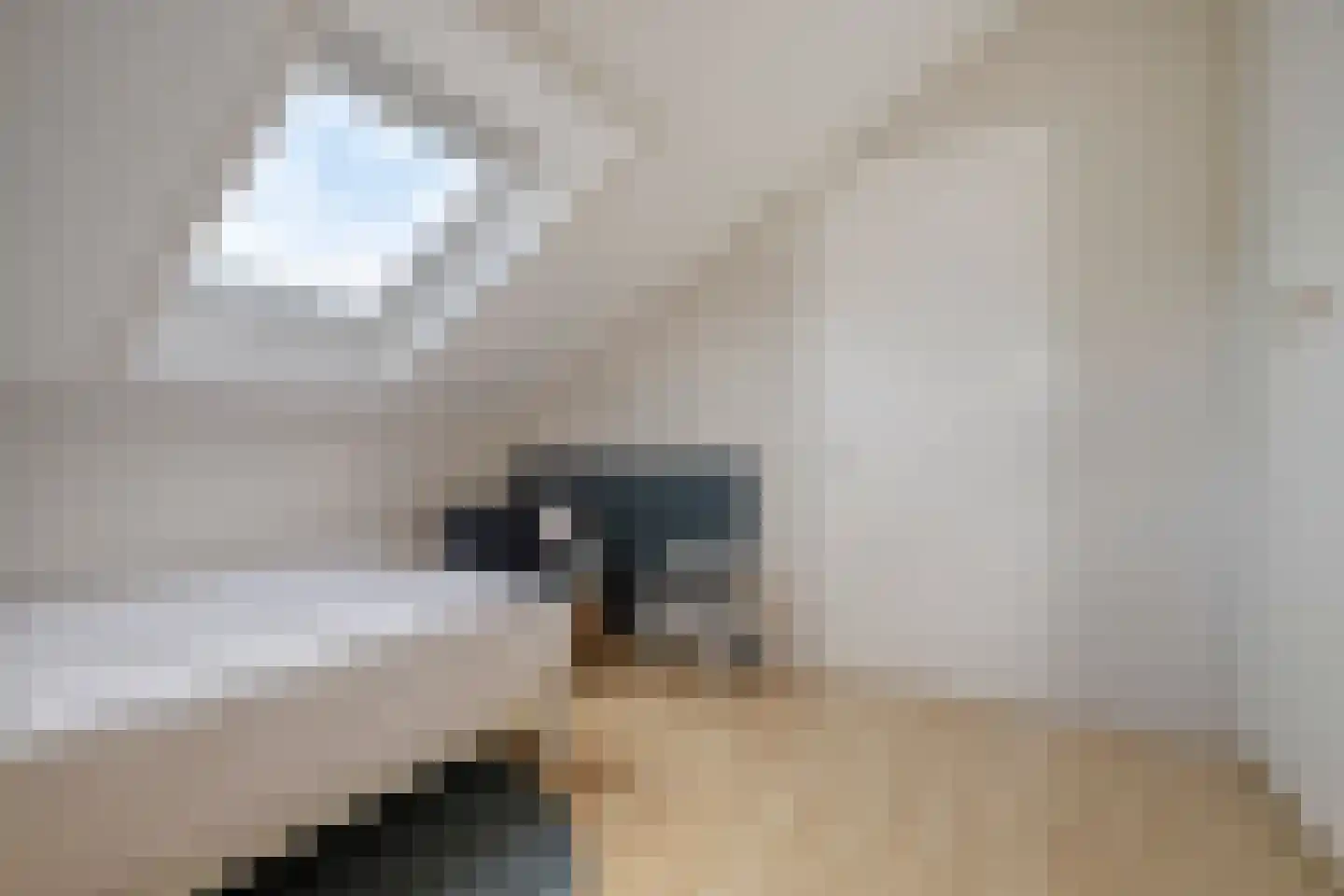 Beiersgulden 52 Dronten thumbnail 32
