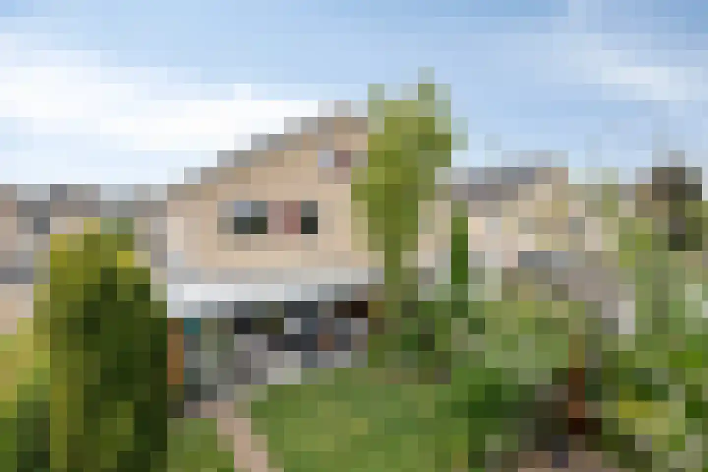 Beiersgulden 52 Dronten thumbnail 34