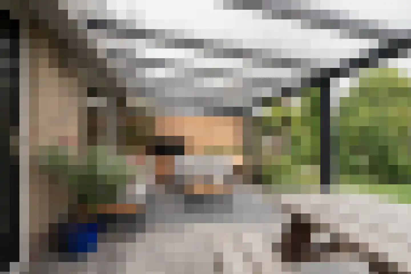 Beiersgulden 52 Dronten thumbnail 37