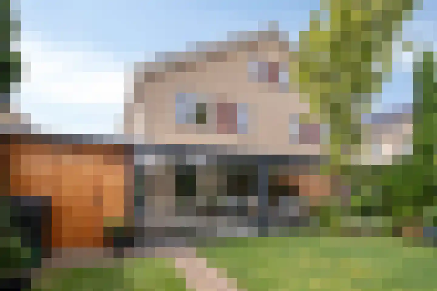 Beiersgulden 52 Dronten thumbnail 4