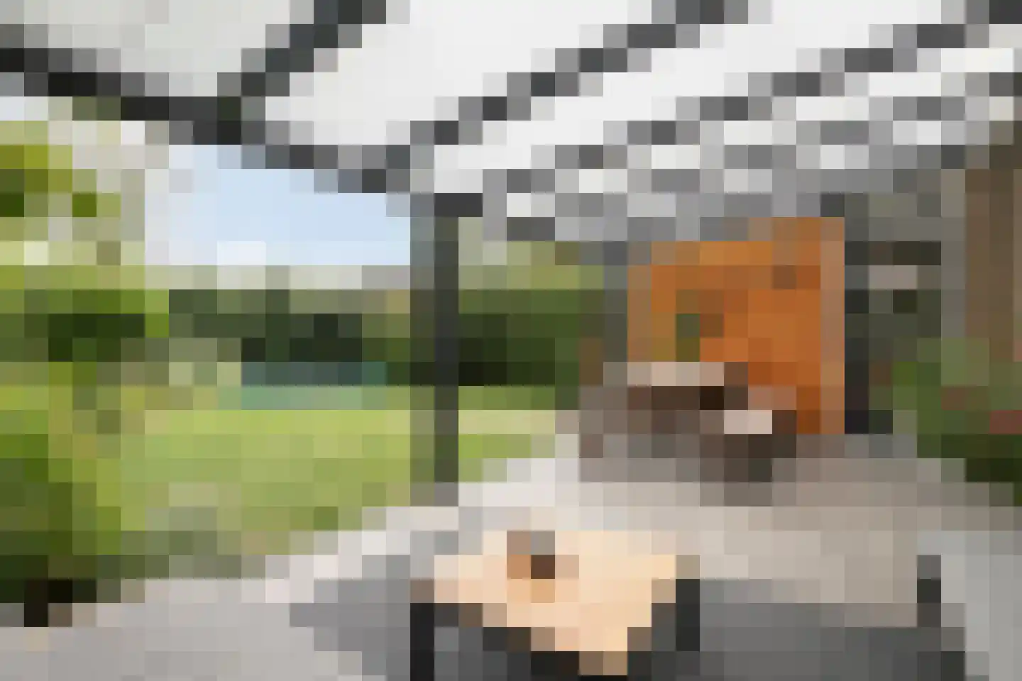 Beiersgulden 52 Dronten thumbnail 40