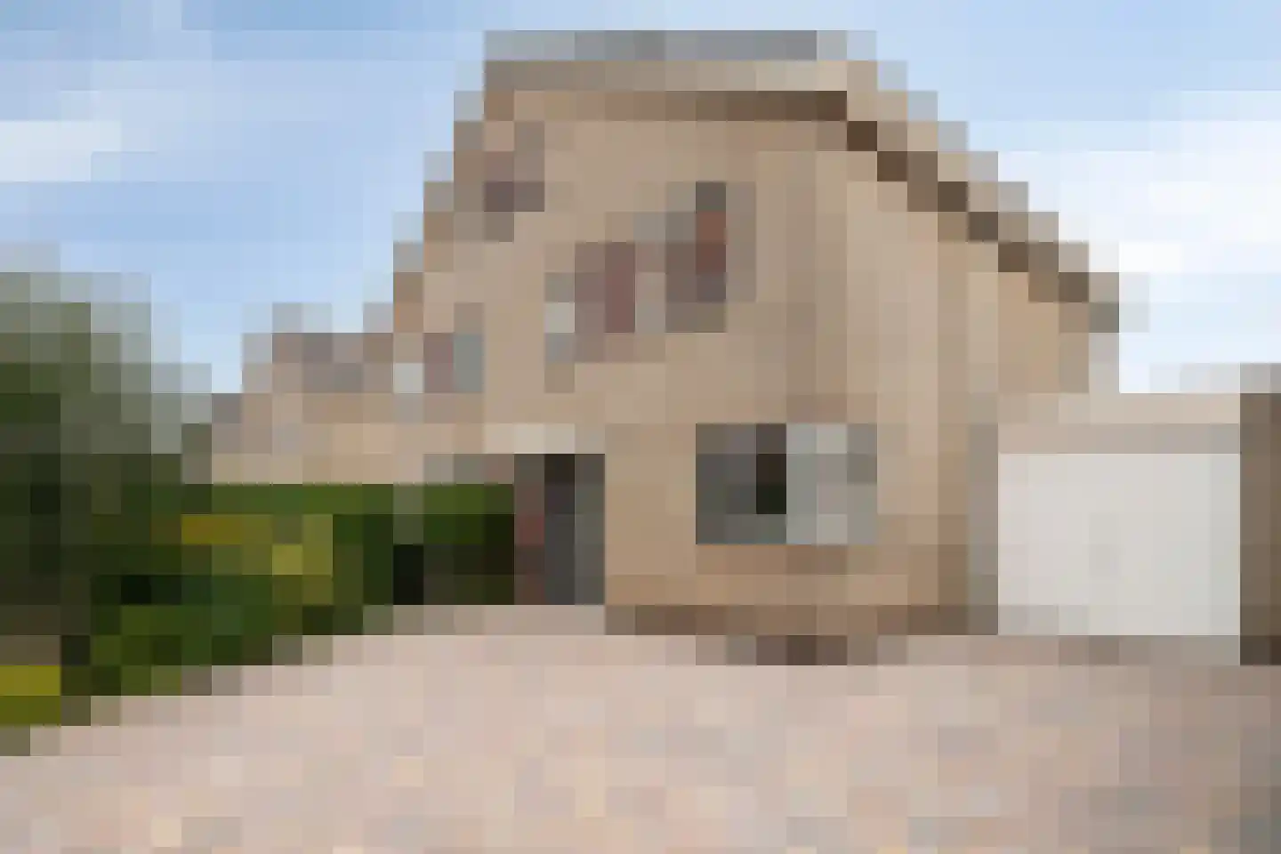 Beiersgulden 52 Dronten thumbnail 45