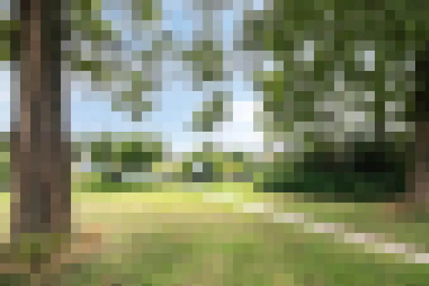 Beiersgulden 52 Dronten thumbnail 49