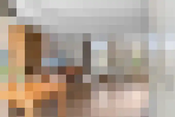 Beiersgulden 69 Dronten thumbnail 10
