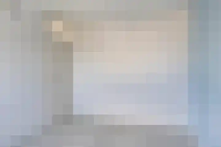 Beiersgulden 69 Dronten thumbnail 17
