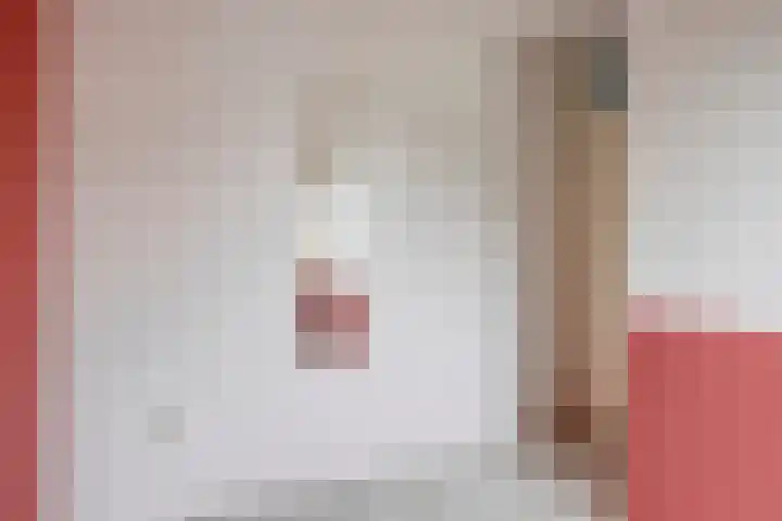Beiersgulden 69 Dronten thumbnail 19