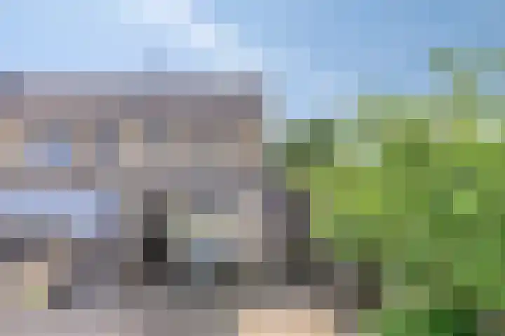 Beiersgulden 69 Dronten thumbnail 26