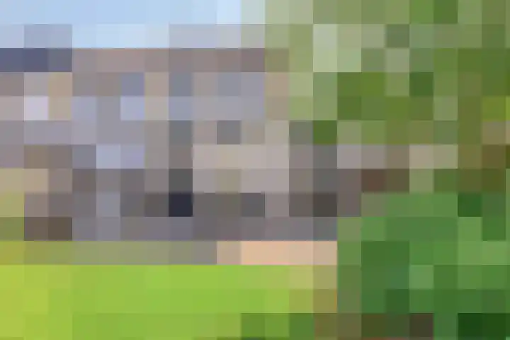 Beiersgulden 69 Dronten thumbnail 28