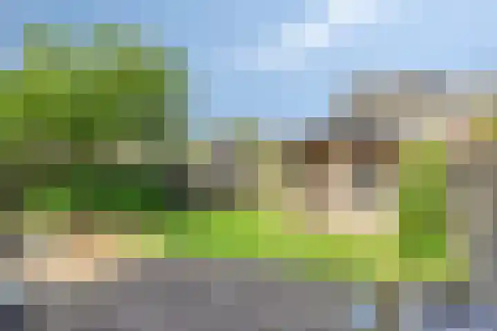Beiersgulden 69 Dronten thumbnail 29