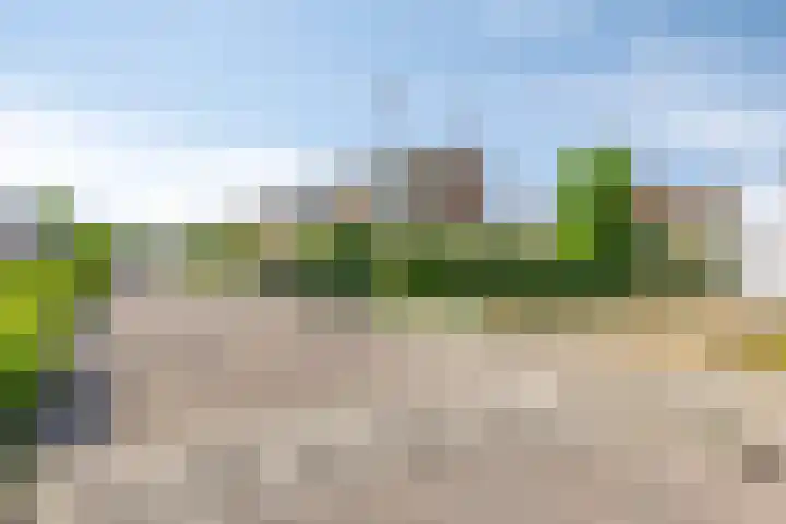Beiersgulden 69 Dronten thumbnail 32