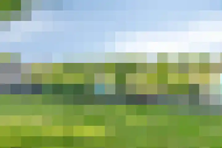 Beiersgulden 69 Dronten thumbnail 34