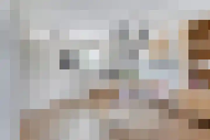 Beiersgulden 69 Dronten thumbnail 8