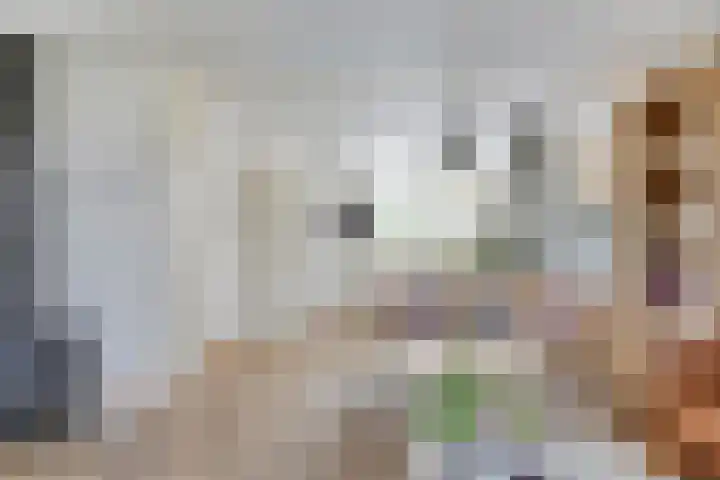 Beiersgulden 69 Dronten thumbnail 9