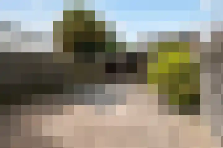 Beiersgulden 83 Dronten thumbnail 19