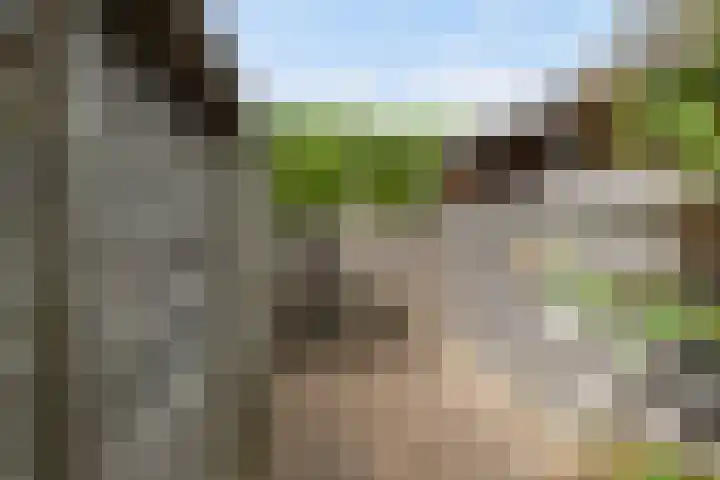 Beiersgulden 83 Dronten thumbnail 22