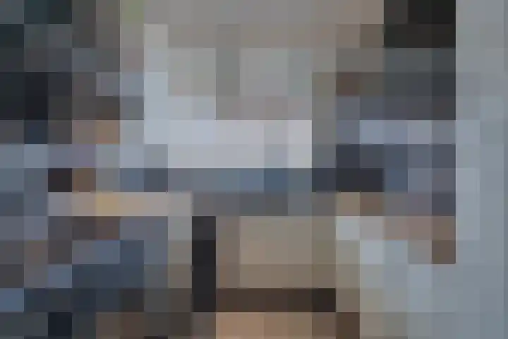 Beiershil 2 Bergen op Zoom thumbnail 18