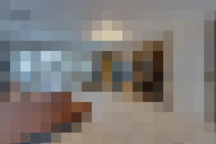 Beiershil 2 Bergen op Zoom thumbnail 19