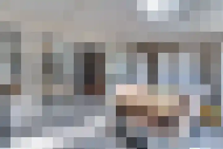 Beiershil 2 Bergen op Zoom thumbnail 26