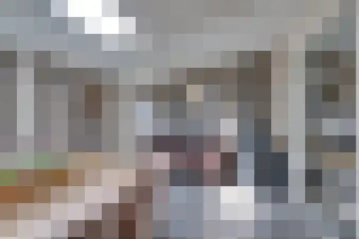 Beiershil 2 Bergen op Zoom thumbnail 28