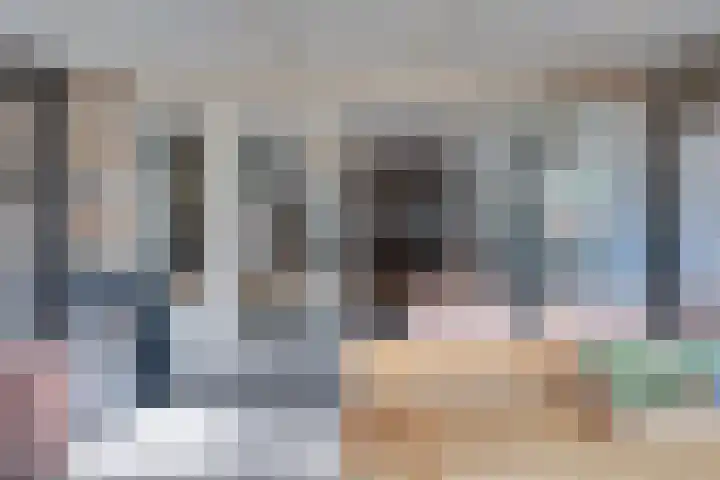 Beiershil 2 Bergen op Zoom thumbnail 29