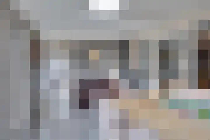 Beiershil 2 Bergen op Zoom thumbnail 30