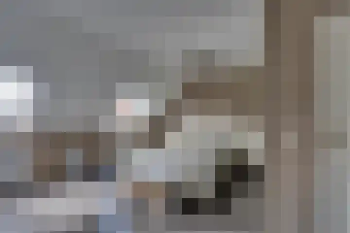 Beiershil 2 Bergen op Zoom thumbnail 33