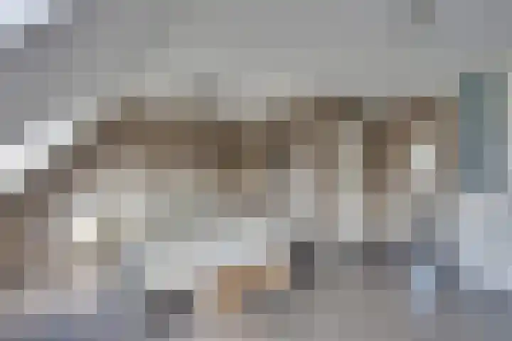 Beiershil 2 Bergen op Zoom thumbnail 34