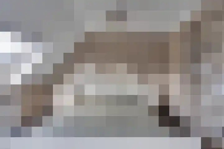 Beiershil 2 Bergen op Zoom thumbnail 38