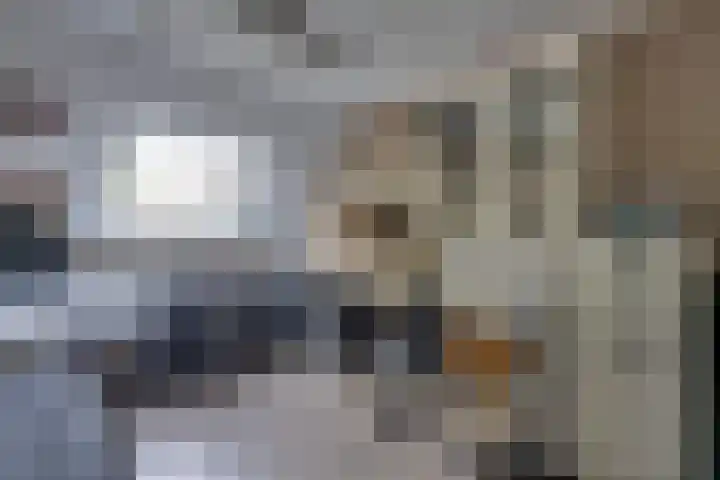 Beiershil 2 Bergen op Zoom thumbnail 39