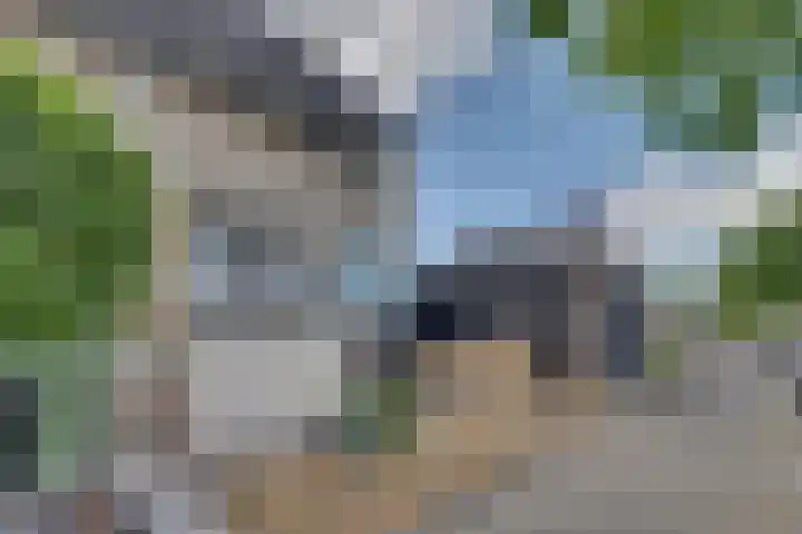 Beiershil 2 Bergen op Zoom thumbnail 4