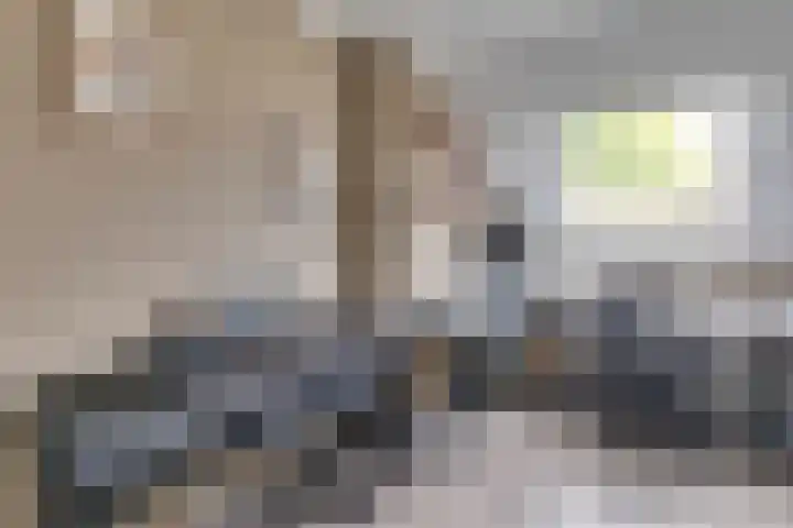 Beiershil 2 Bergen op Zoom thumbnail 40
