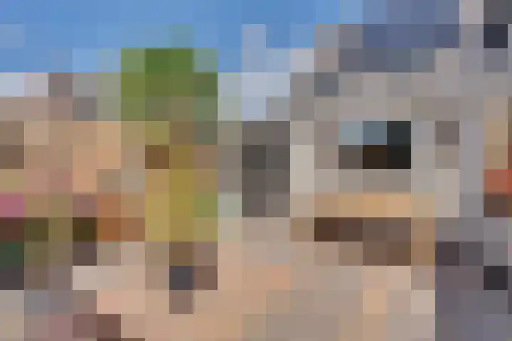 Beiershil 2 Bergen op Zoom thumbnail 51