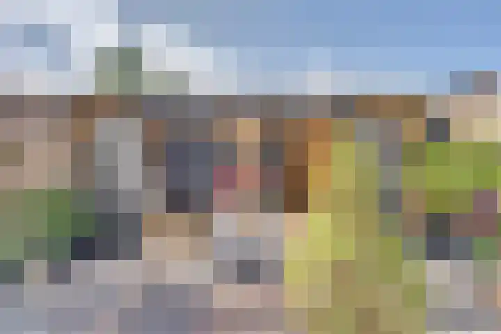 Beiershil 2 Bergen op Zoom thumbnail 55