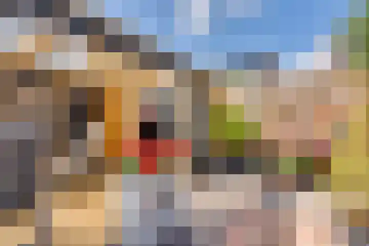 Beiershil 2 Bergen op Zoom thumbnail 56
