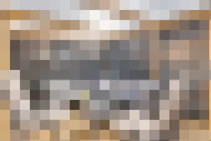Beiershil 2 Bergen op Zoom thumbnail 60