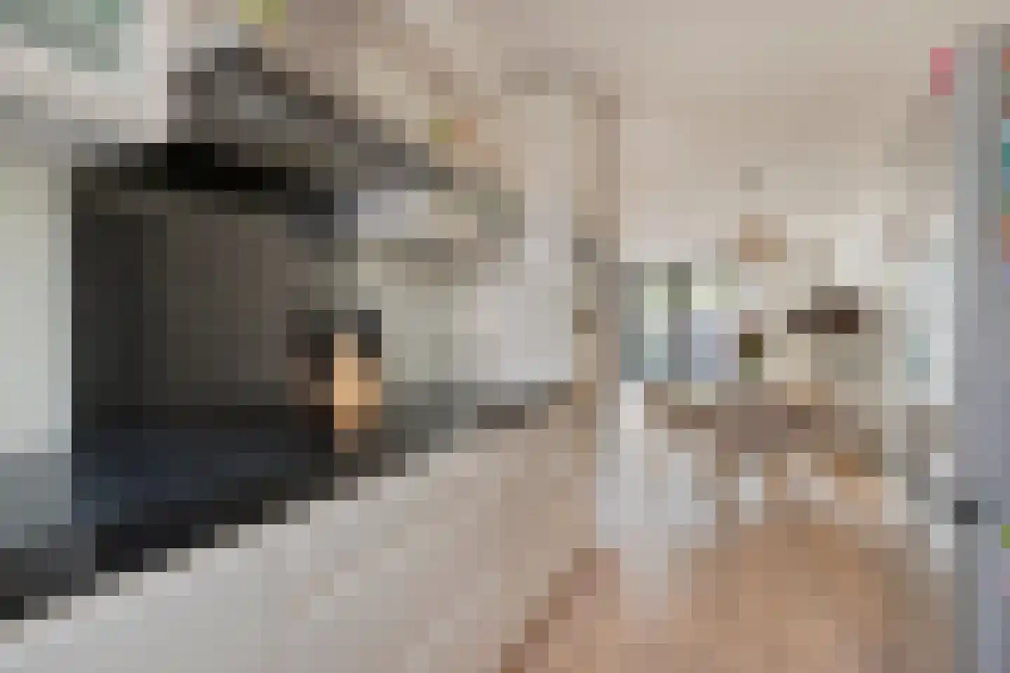 Beiershil 4 Bergen op Zoom thumbnail 16