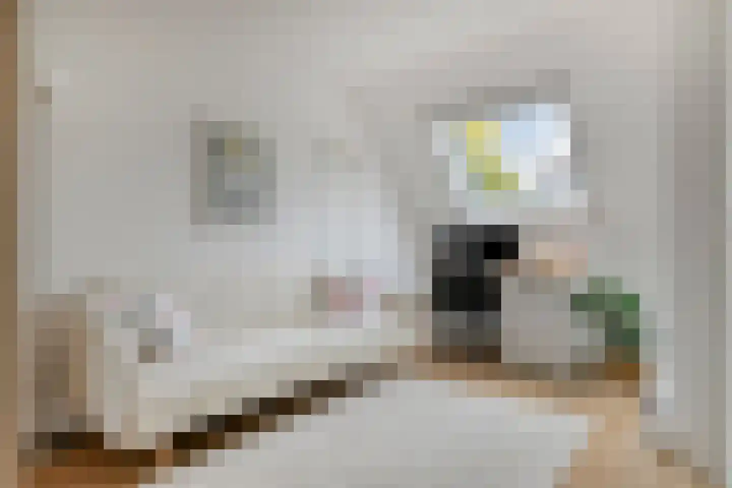 Beiershil 4 Bergen op Zoom thumbnail 24