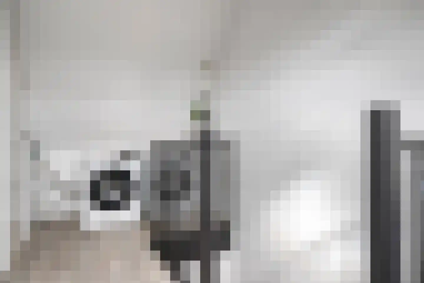 Beiershil 4 Bergen op Zoom thumbnail 31