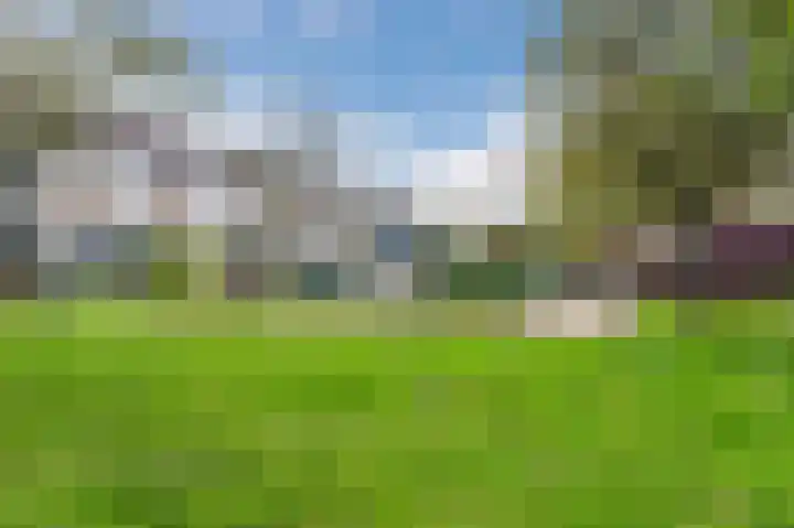 Beiershof 47 Bodegraven thumbnail 41