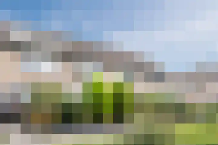 Beiershof 47 Bodegraven thumbnail 6