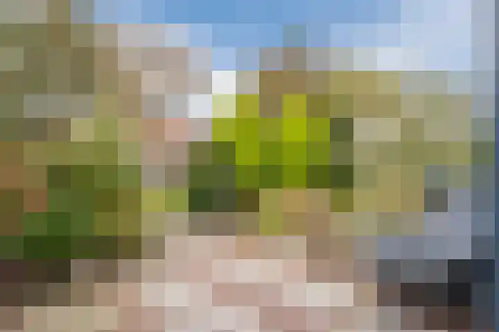 Beiershof 47 Bodegraven thumbnail 8
