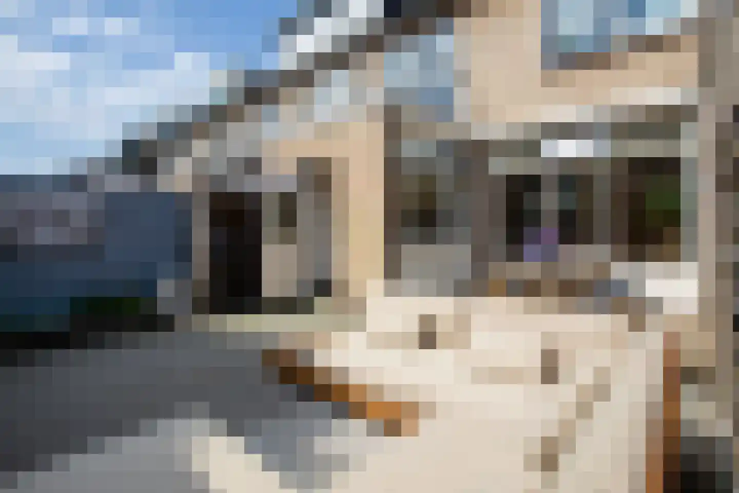 Beiershof 50 Bodegraven thumbnail 16
