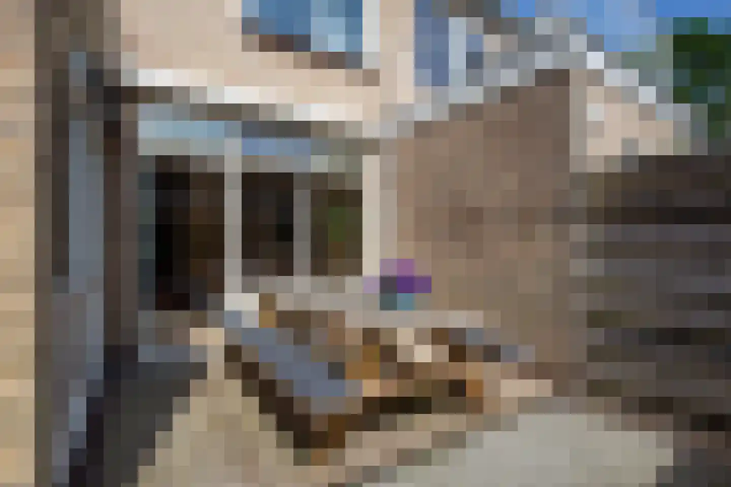 Beiershof 50 Bodegraven thumbnail 17