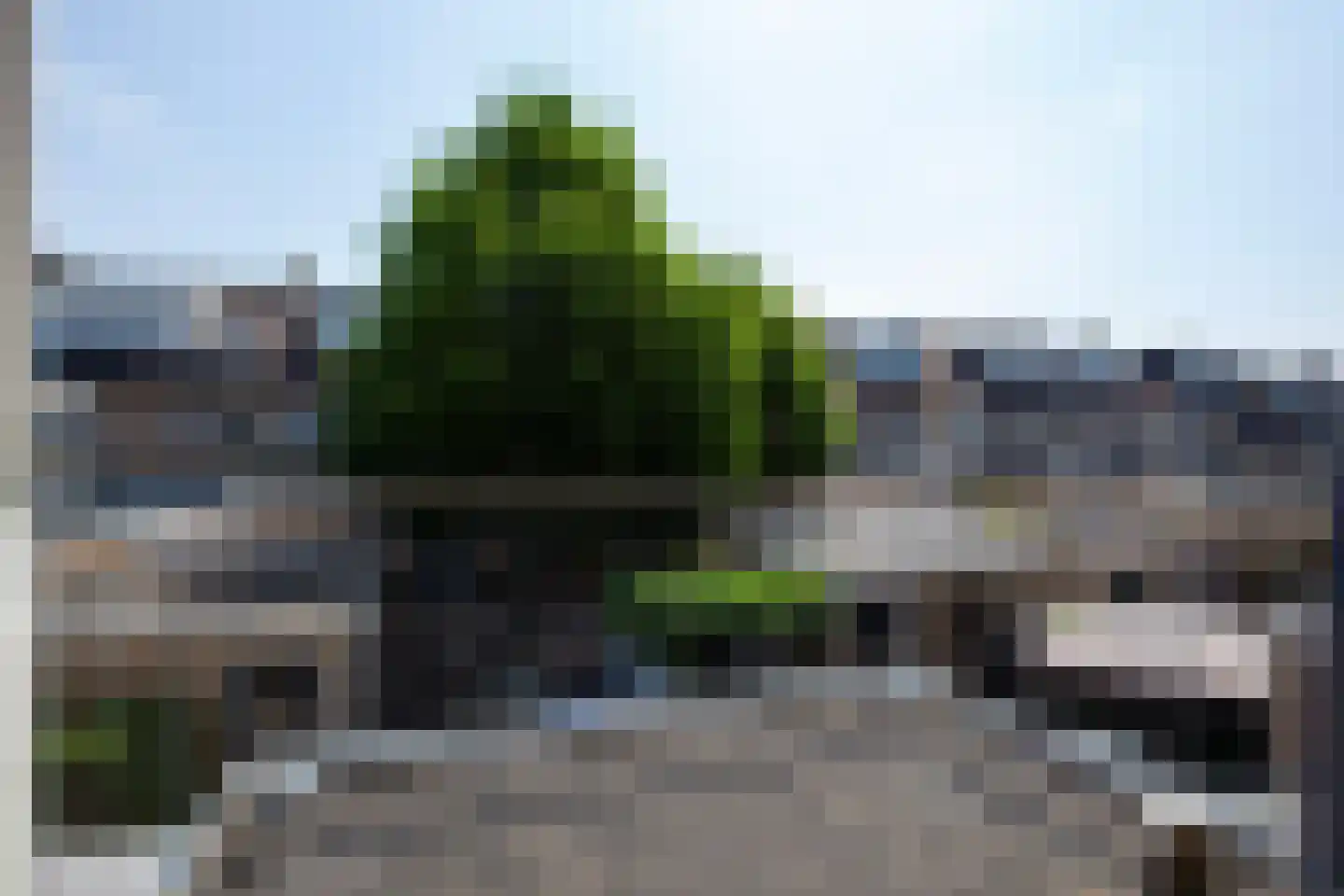 Beiershof 50 Bodegraven thumbnail 21