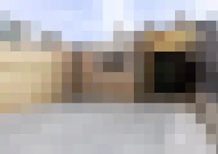 Beiershof 51 Bodegraven thumbnail 13