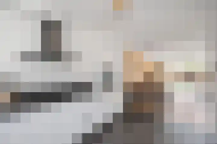 Beiershof 7 Bodegraven thumbnail 12