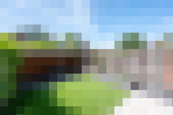 Beiershof 7 Bodegraven thumbnail 14
