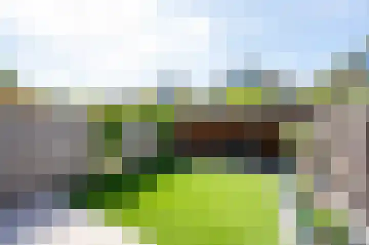 Beiershof 7 Bodegraven thumbnail 15