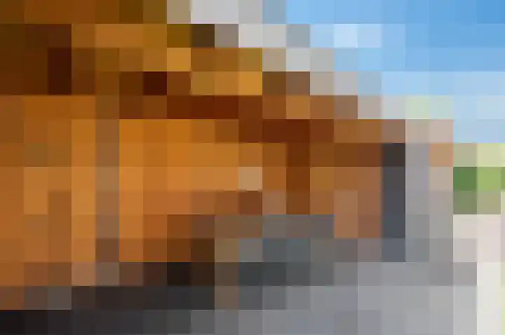 Beiershof 7 Bodegraven thumbnail 16