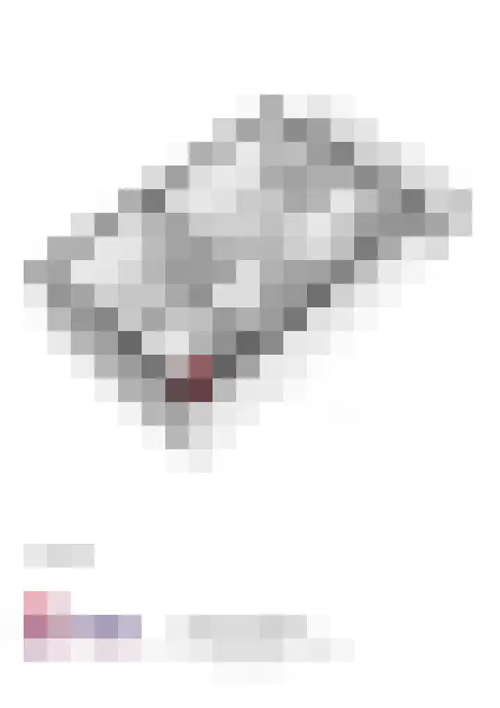 Beiershof 7 Bodegraven thumbnail 37